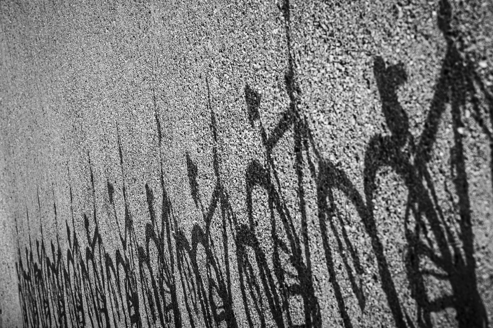 Corporate — 135